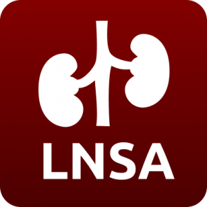 LNSA Logo